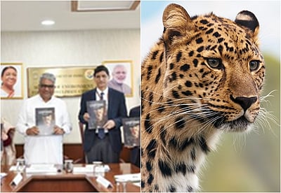 நாட்டில் சிறுத்தைகள் எண்ணிக்கை உயர்வு: அமைச்சர் தகவல்!