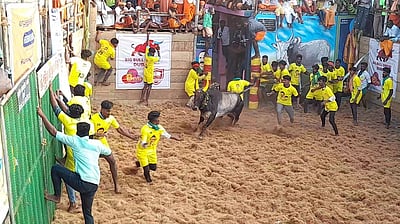 அய்யம்பட்டியில் ஜல்லிக்கட்டு விழா 