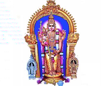 திருச்செந்தூர் கோயில் மூலவர் முருகப்பெருமானுக்கு நாளை முதல் தாராபிஷேகம்
