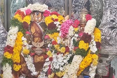 காஞ்சிபுரம் ஏகாம்பரநாதர் கோயிலில் குவியும் பக்தர்கள்!