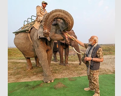 யானைகளுக்குக் கரும்பு புகட்டிய பிரதமர் மோடி!