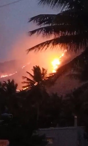 ஏலகிரி மலையில் காட்டுத் தீ