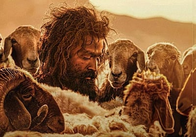 ஆடு ஜீவிதம் ரூ.50 கோடி வசூல்! 