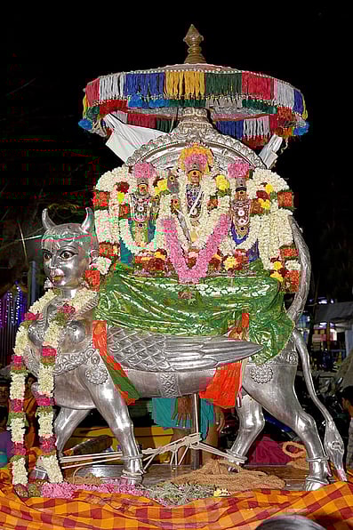 பழனியில் முத்துக்குமார சுவாமி 
காமதேனு வாகனத்தில் கிரி வீதியுலா