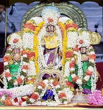 காஞ்சிபுரம் வரதா் கோயிலில் 
பல்லவ உற்சவம் தொடக்கம்