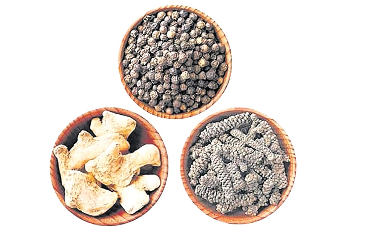 ஆயுள் காக்கும் ஆயுர்வேதம்: இனிப்பான லேகிய மருந்துகள் உள்ளதா?