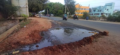 மதுரையில் சம்பவம்: சாலையில் கிடந்த மனிதத் தலை!