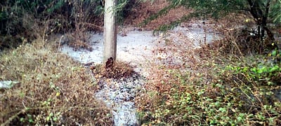 தோல் கழிவுநீரை வெளியேற்றிய தொழிற்சாலைக்கு சீல்