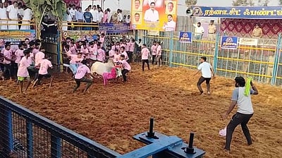 தருமபுரி அருகே ஜல்லிக்கட்டு விழா