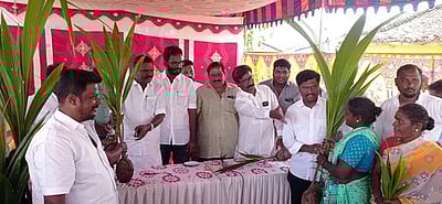 தமிழக முதல்வா் ஸ்டாலின் பிறந்தநாள் விழா: 
500 தென்னை மரக்கன்றுகள் வழங்கல்