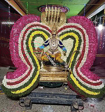 நாக வாகன சேவையில்...