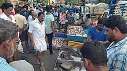 தூத்துக்குடியில் குறைந்த மீன்களின் விலை
