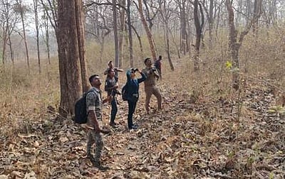 முதுமலை புலிகள் காப்பகத்தில் 
பறவைகள் கணக்கெடுப்பு