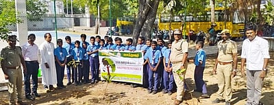 செயினட் தாமஸ் பள்ளியில்
உலக வன தினம் அனுசரிப்பு