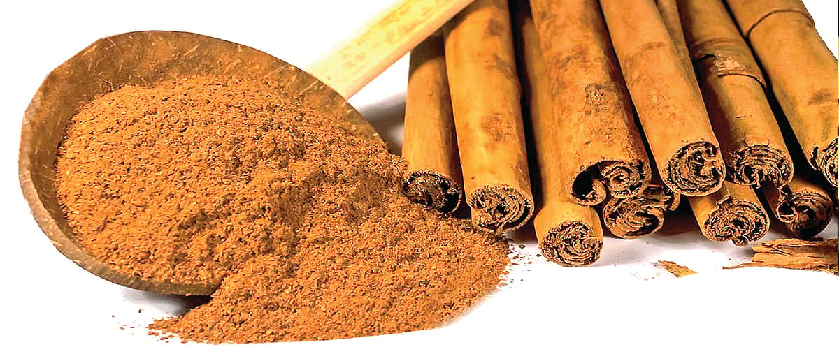 ஆயுள் காக்கும் ஆயுர்வேதம்: உமிழ் நீர் சுத்தம் ?