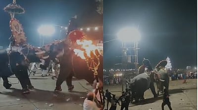 ஆராட்டுப்புழா கோயில் திருவிழாவில் யானைகளுக்குள் சண்டை: பலர் காயம்