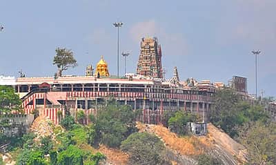 பழனி முருகன் கோயில் நிலம் தனி நபா்களுக்கு பத்திரப் பதிவு: ரத்து செய்தது உயா்நீதிமன்றம்