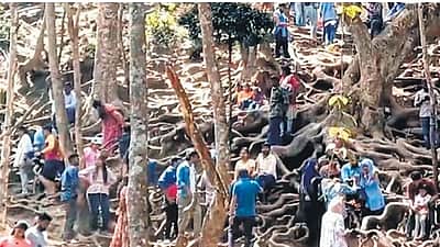 குணா குகையை பார்க்க முடியுமா?