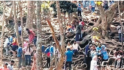 குணா குகையை பார்க்க முடியுமா?