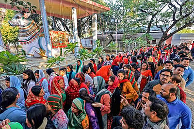 கோயில் எலுமிச்சை விலை ரூ.35,000! ஏலம் எடுத்த ஈரோடு பக்தர்!!