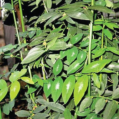 சமையல் குறிப்புகள்....
