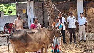 புத்தன்தருவை  கூட்டுறவு சங்கத்தில் கறவை மாடு வாங்க கடனுதவி அளிப்பு