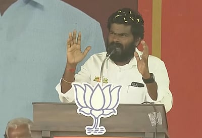 சீமானுக்கு சின்னம் கிடைக்காததற்கும் பாஜகவுக்கும் தொடர்பில்லை: அண்ணாமலை