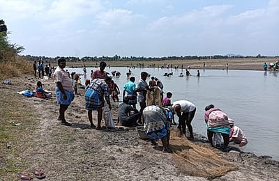 ஏரியில் மீன்பிடி திருவிழா