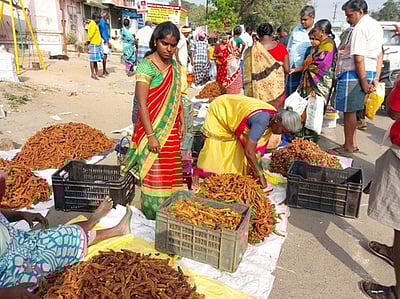 திண்டுக்கல்லில் தொடங்கியது புளிச் சந்தை!