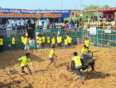 கோவிலூர் ஜல்லிக்கட்டில் சீறிய காளைகள்!