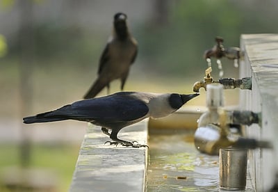 வான் வழங்கும் அமிழ்தம்