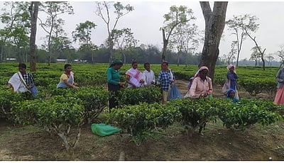 மக்களவைத் தேர்தல்: ஓசையில்லாமல் இருக்கும் ஒடிஸா 