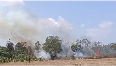 தாளவாடி  வனப் பகுதியில் காட்டுத் தீ