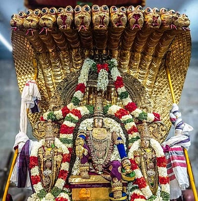 வீரராகவ பெருமாள் கோயில் சேஷ வாகன தரிசனம்