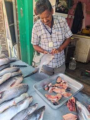 தரமற்ற மீன்கள் விற்ற கடைக்கு அபராதம்