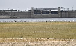 வாளையாறு அணையில் குளித்தபோது மூழ்கிய குமரி மாவட்ட மாணவரின் சடலம் மீட்பு