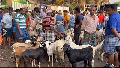 ரம்ஜான் பண்டிகை காலத்தில் களையிழந்த அன்னூர் ஆட்டுச் சந்தை: தேர்தல் நடத்தை விதிகள் காரணமா? 