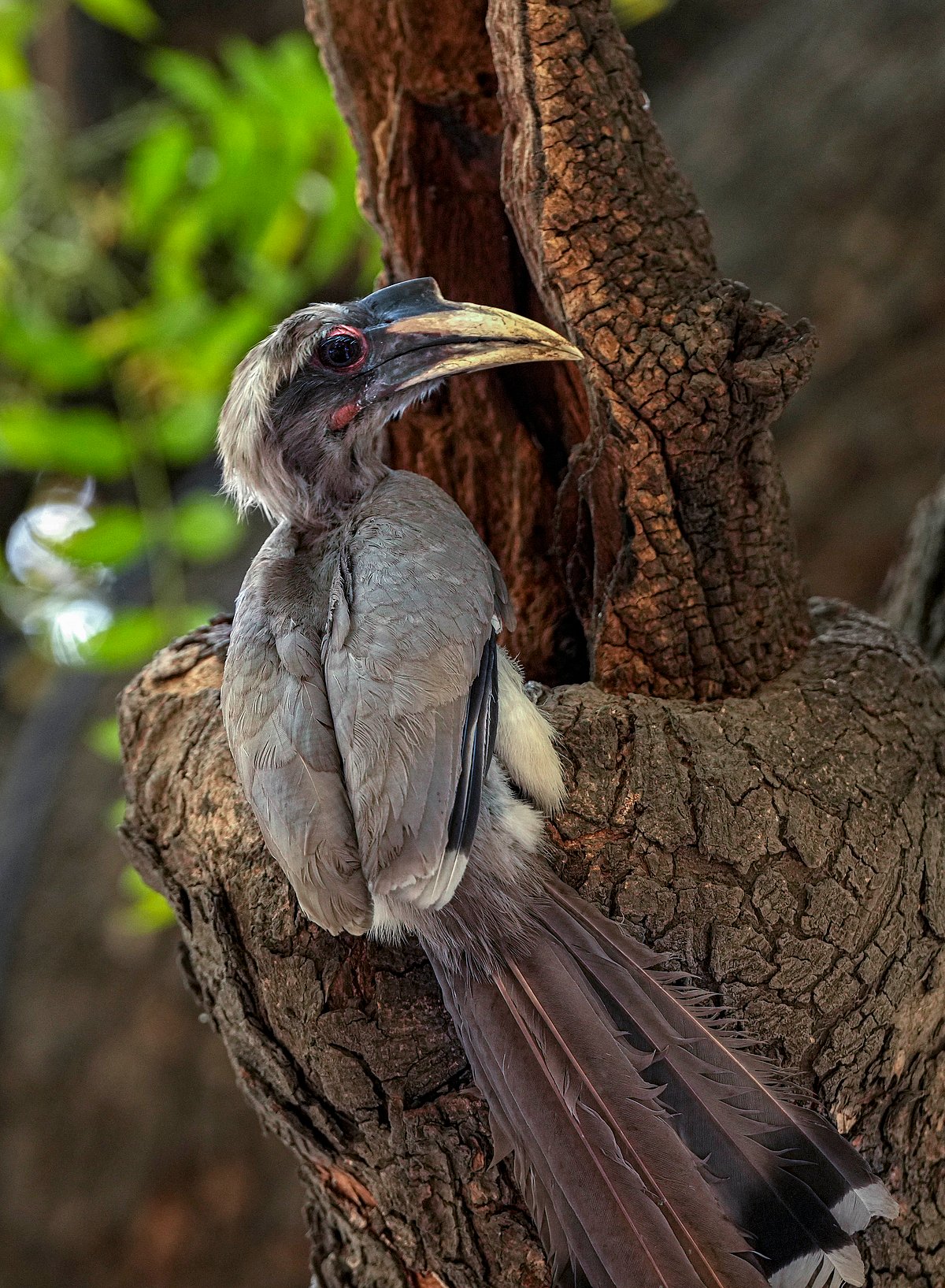 நாட்டு நடப்பு