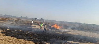 வயலில் தீப்பற்றி 27 ஆட்டுக் குட்டிகள் உயிரிழப்பு