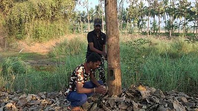 சிறுத்தையின் நடமாட்டம் குறித்து வதந்தி பரப்புவோா் மீது கடும் நடவடிக்கை: எஸ்பி