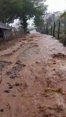 தாளவாடி மலைப் பகுதியில் மழை: விவசாயிகள் மகிழ்ச்சி