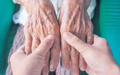 வேரைத் தாங்க வேண்டும் விழுதுகள்! 