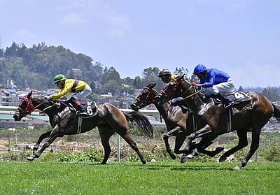 உதகையில் குதிரைப் பந்தயம்