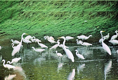 உலகம் அனைத்து உயிர்களுக்குமானது...