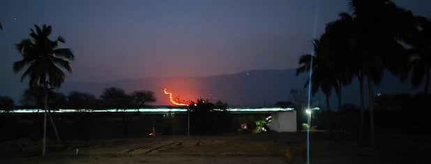 காட்டுத் தீயால் சேதமாகும் ‘ஏழைகளின் ஊட்டி’ ஏலகிரி