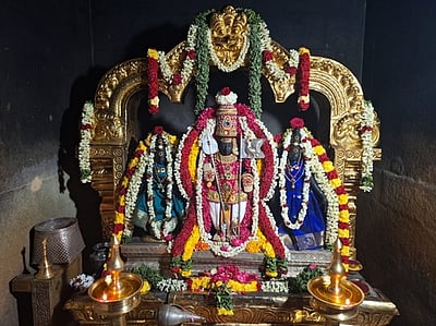 ராஜ அலங்காரத்தில் பாலமுருகன்