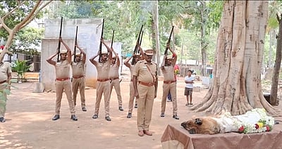 சேலம் காவல் துறையில் மோப்ப நாய் மேகா உயிரிழப்பு