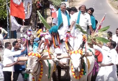 வாக்கு சேகரிப்பில் இரட்டை மாட்டு வண்டியிலிருந்து விழுந்த தேமுதிக வேட்பாளர்!