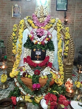 சனிப்பிரதோஷம்: திரளான பக்தா்கள் தரிசனம்