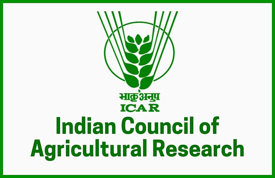இந்திய வேளாண் ஆராய்ச்சி நிறுவனத்தில் இளம் தொழில்முறை நிபுணர் வேலை: விண்ணப்பிப்பது எப்படி?